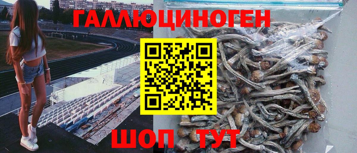 Десногорск  Галлюциногенные грибы Psilocybine cubensis  Вход с VPN 