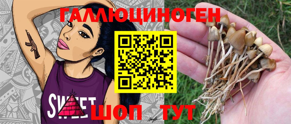 Псилоцибиновые грибы MAGIC MUSHROOMS Десногорск